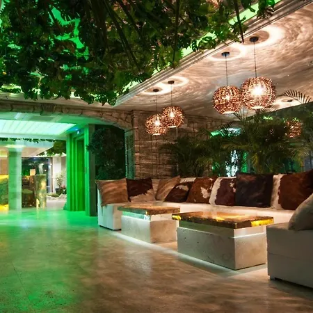 Harmony Jungle - Veron Apartment